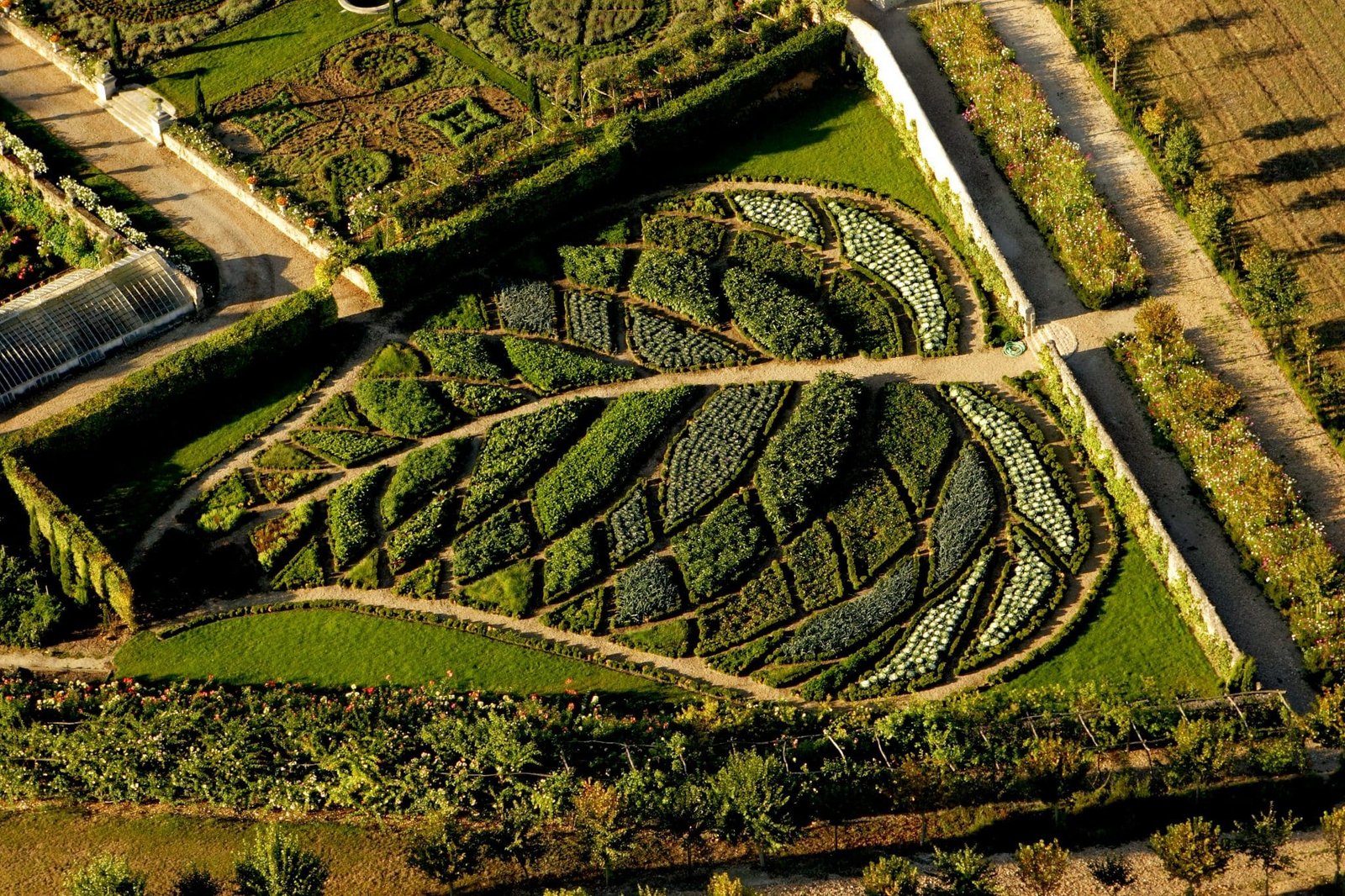feuille vue aérienne Vue aérienne potager ornemental en forme de feuille à La Châtonnière.