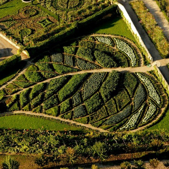 Jardins ouverts pour le Neurodon