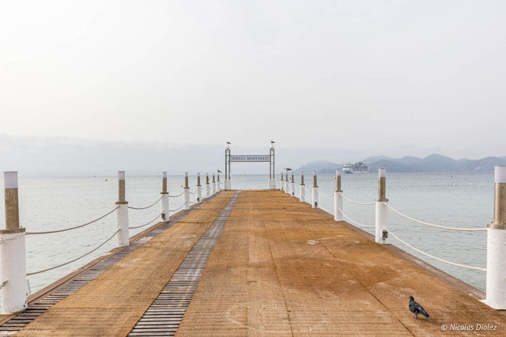 Cannes bezoeken: toerisme en goede adressen