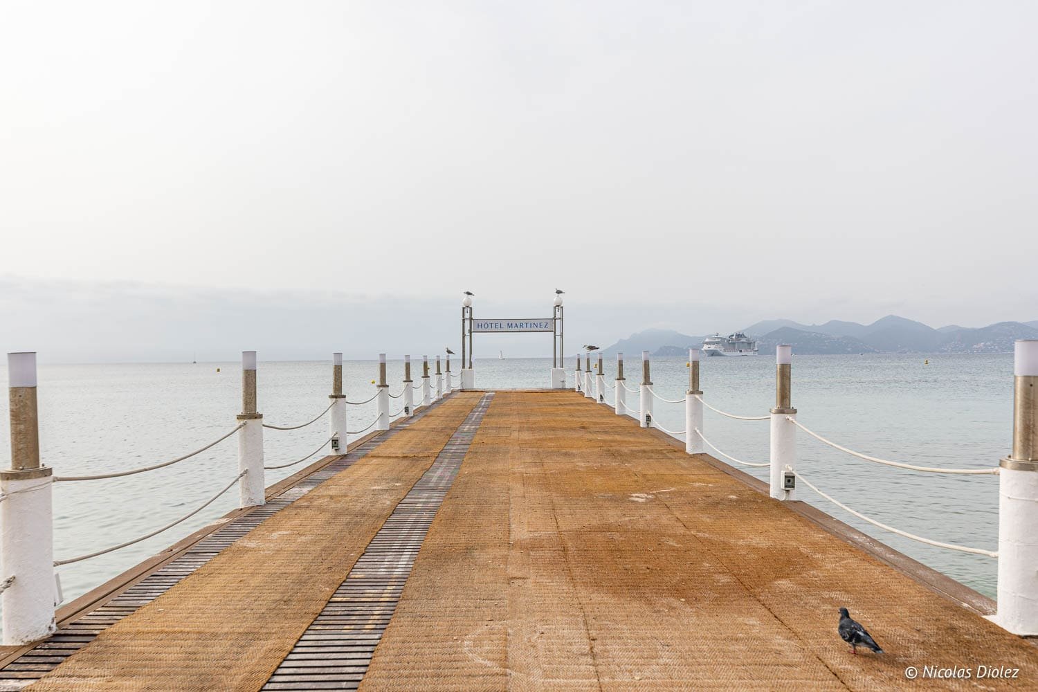 Visiter Cannes : tourisme et bonnes adresses