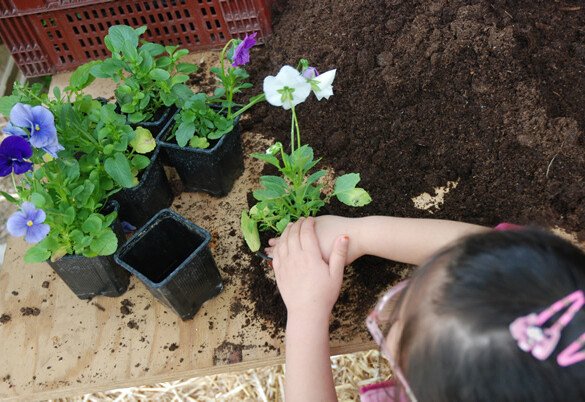 Un week-end francilien au vert
