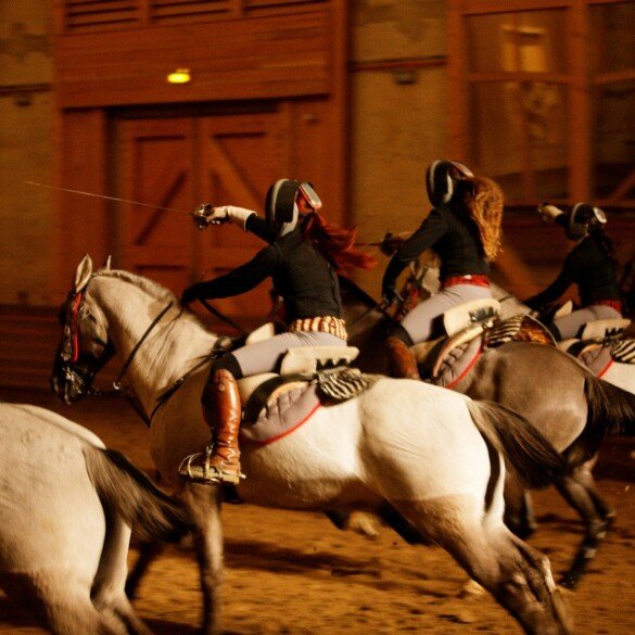 Spectacle La Voie de l&rsquo;Ecuyer aux Grandes Ecuries de Versailles