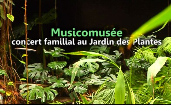 Musicomusée: conciertos familiares en el Jardin des Plantes