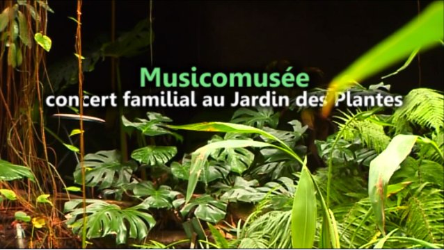 Musicomusée: familieconcerten in de Jardin des Plantes