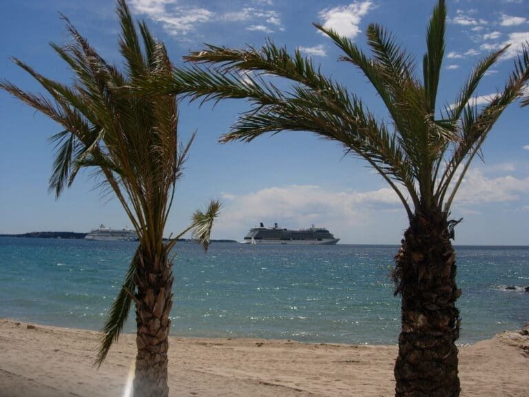 Kronieken uit Cannes nr. 1: het festival voor beginners