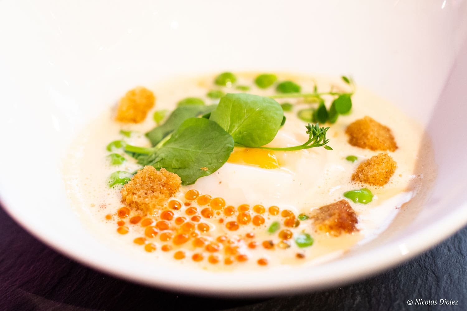 Esens All, un voyage sur le sentier des découvertes gustatives