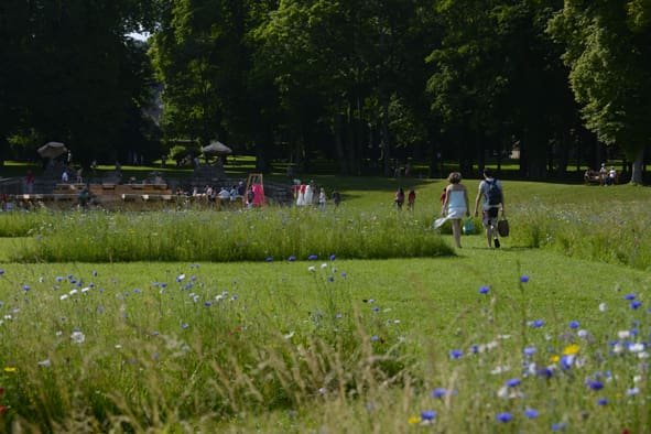 Couple marchant dans un champ fleuri vers une zone de pique-nique au Domaine.