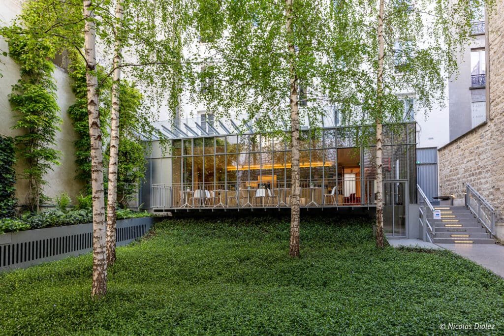 Cour extérieure de la Fondation Jérôme Seydoux-Pathé avec terrasse vitrée et bouleau.