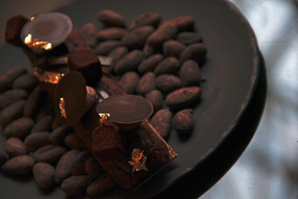Eclair chocolat grand cru Shangri-La - DR Nicolas Diolez