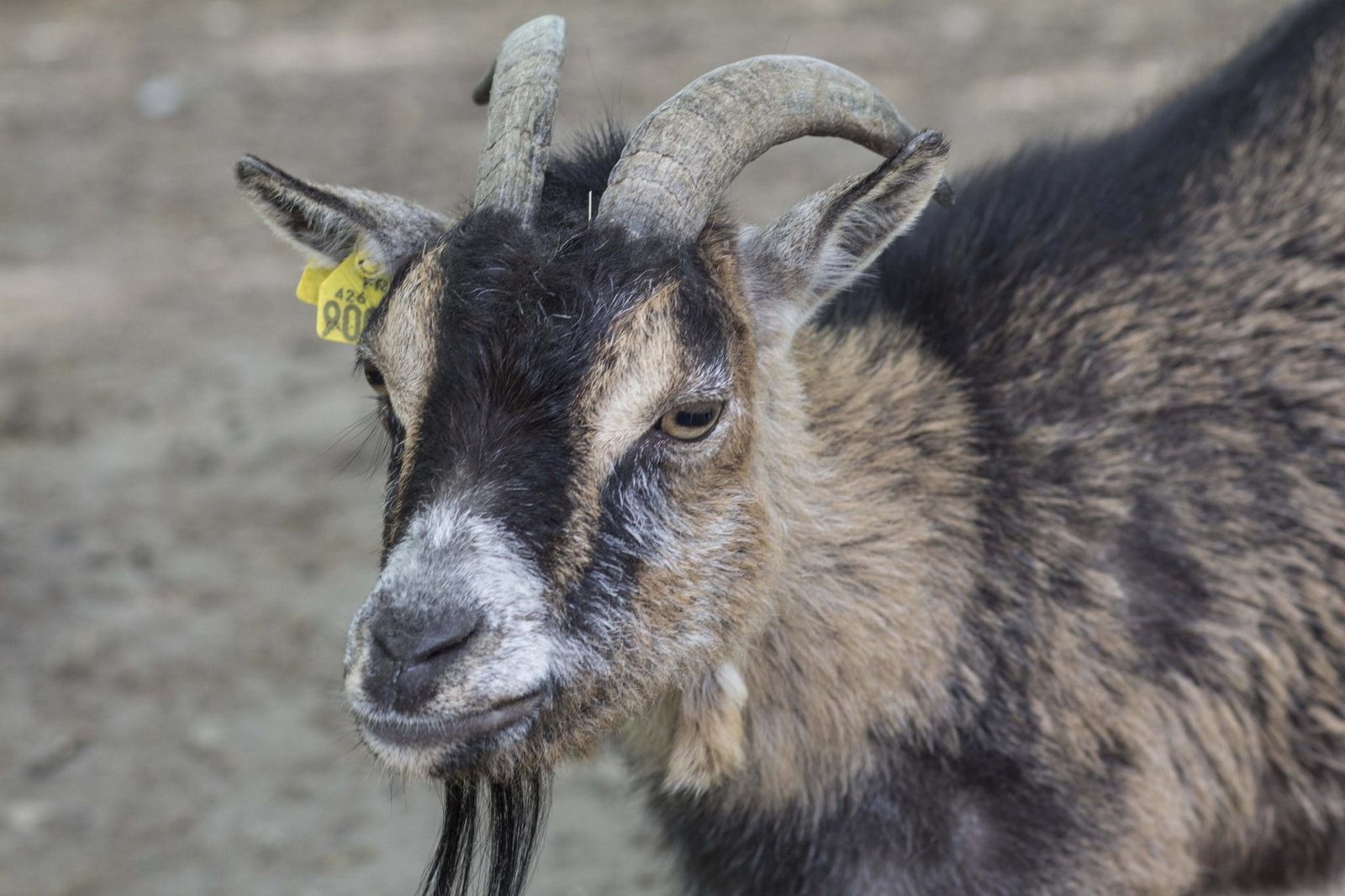 Le Salon de l’Agriculture 2018 (invitations)