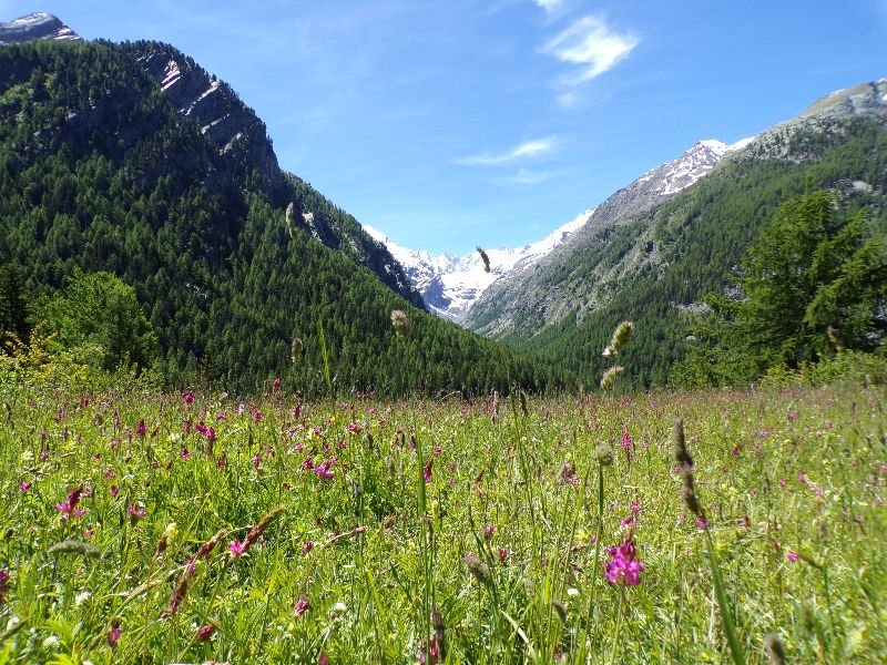 Randonnée Gran Paradiso Cogne Mont Blanc - DR Melle Bon Plan 2016