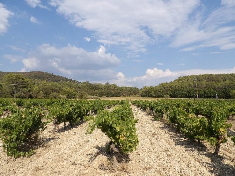 Een weekend in de Luberon om de wijnen te ontdekken
