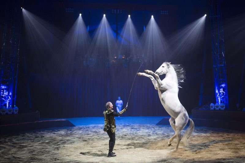 Tamer directing a rearing white horse during an Alexis Gruss show.
