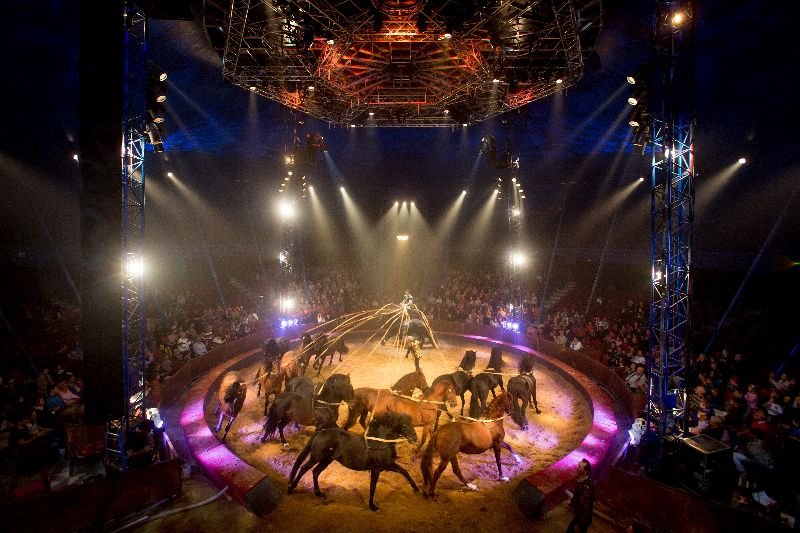 Equestrian act by Firmin Gruss under the circus spotlights.