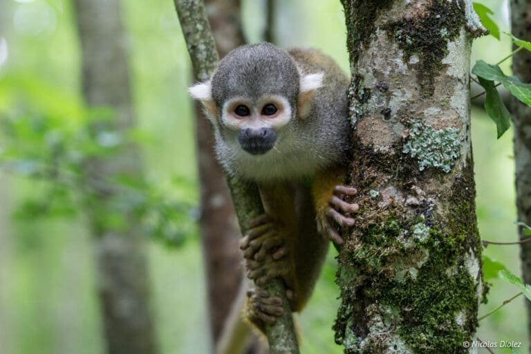 Roadtrip: de natuur en de dieren in de Vienne