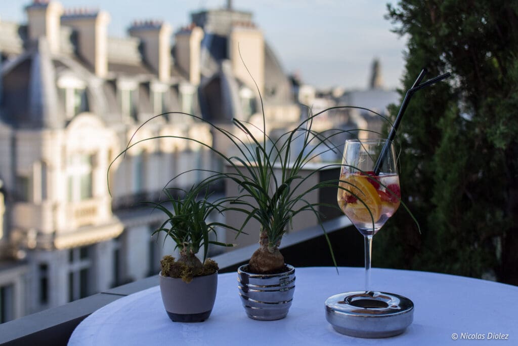 terrasse penthouse Hôtel Warwick Champs-Elysées - DR Nicolas Diolez 2017