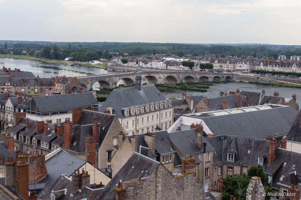 vue du Château de Blois - DR Nicolas Diolez 2017