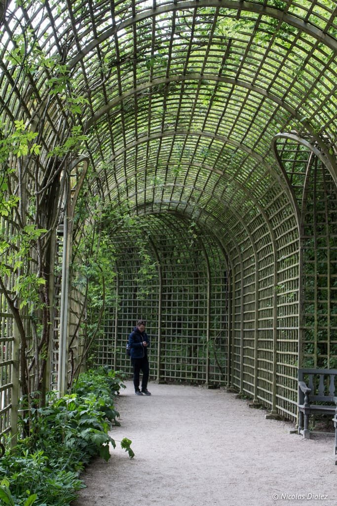 Allée de treillage et homme seul dans les jardins du Château de Versailles.