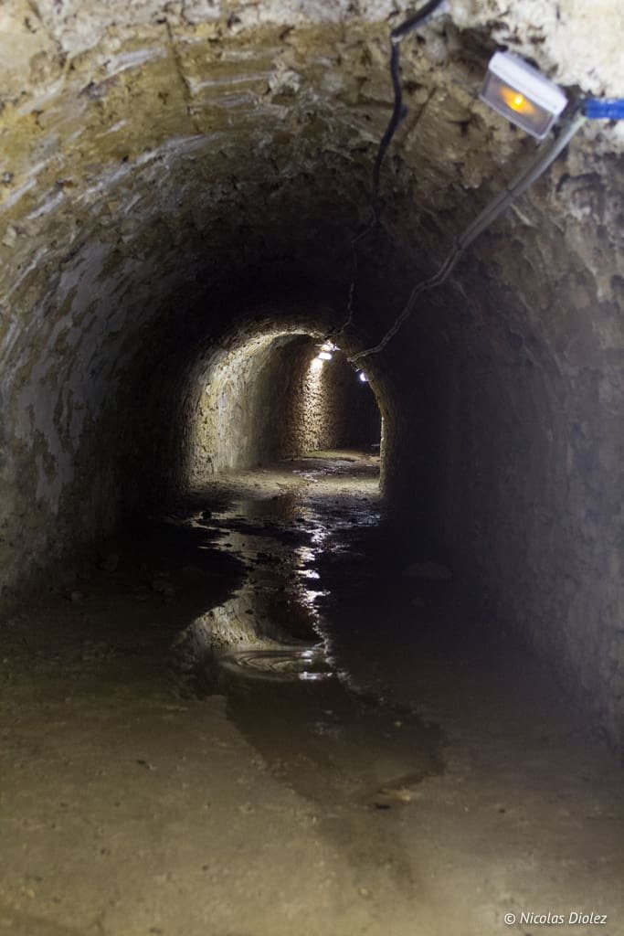 Tunnel souterrain humide à l'éclairage faible, possiblement un conduit des jardins de Versailles.