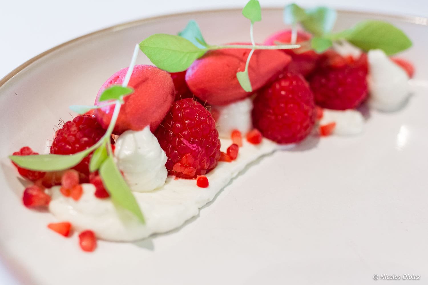 Restaurant Markt XI, Le Coq en Flandre