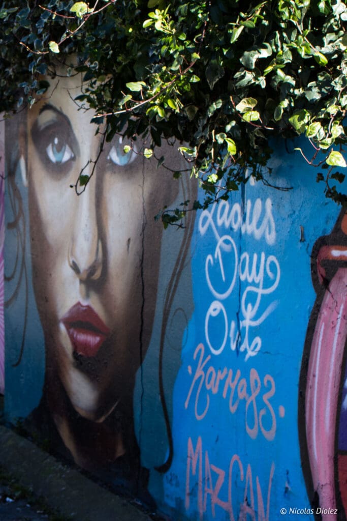 ruelle street art North Lanes Brighton