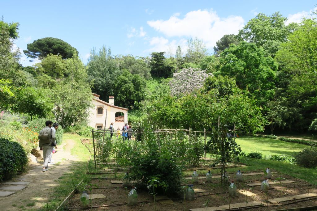 Jardin botanique Montjuïc Barcelone