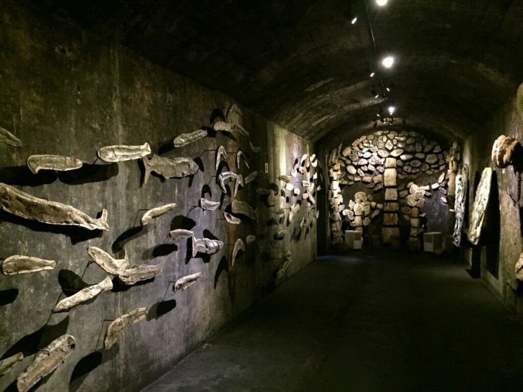 Intérieur de l'Aliança Underground Museum avec des formes fossilisées sur les murs.