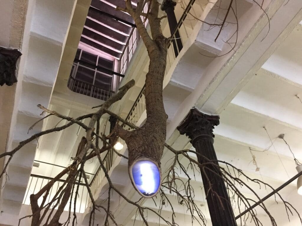 Rafael Villares, Factoria Habana- DR Valérie Collet 2019 Installation artistique d'arbre avec lumière bleue à la Factoria de la Havane.