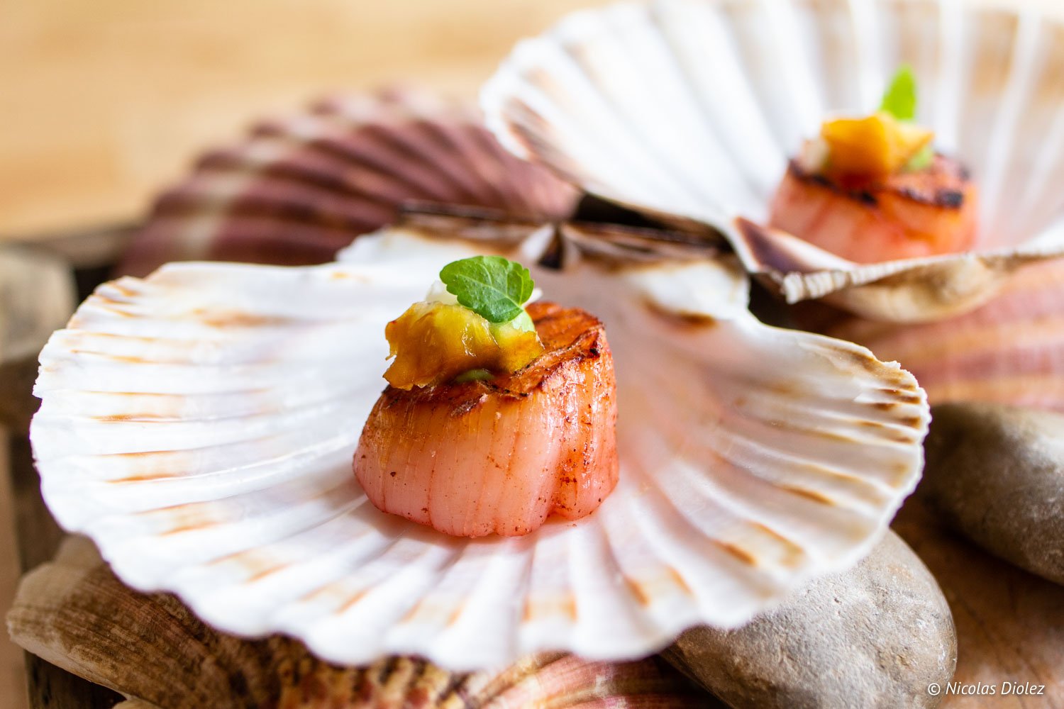 Audass par le chef Pierre Lambert