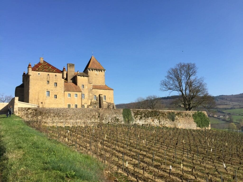 Château de Pierreclos - DR Valérie Collet 2019 Château de Pierreclos et vignes sous un ciel bleu.