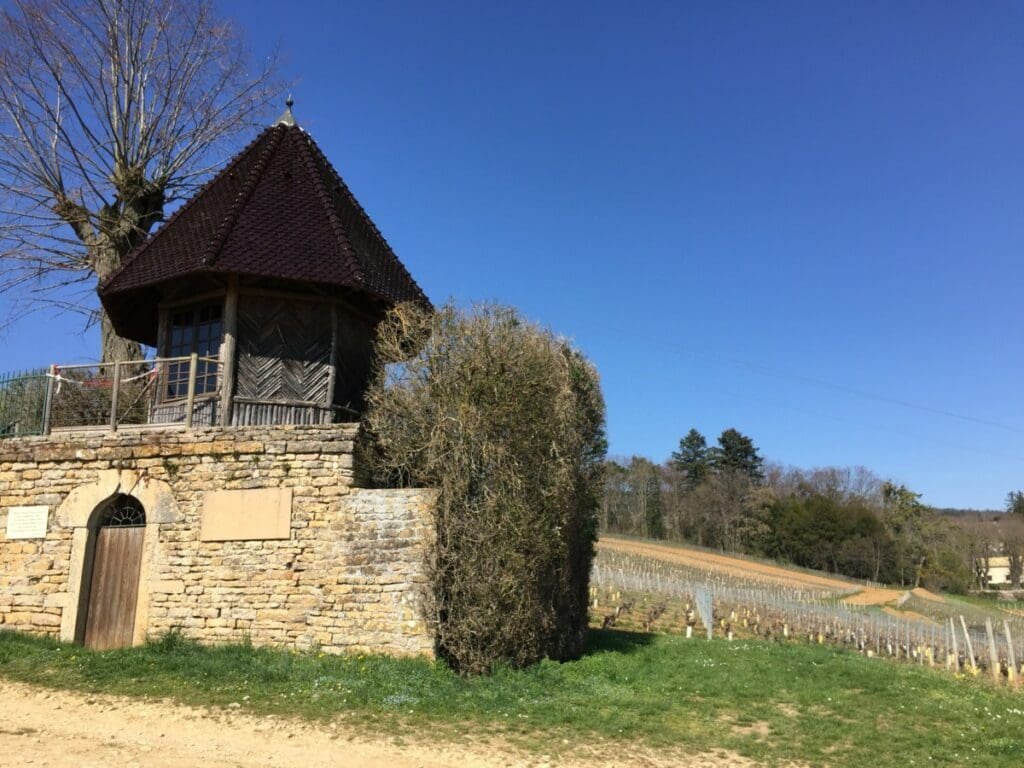 Pavillon de la Solitude -DR Valérie Collet 2019 Pavillon La Solitude Lamartine sur mur de pierre près d'un vignoble sous ciel bleu.