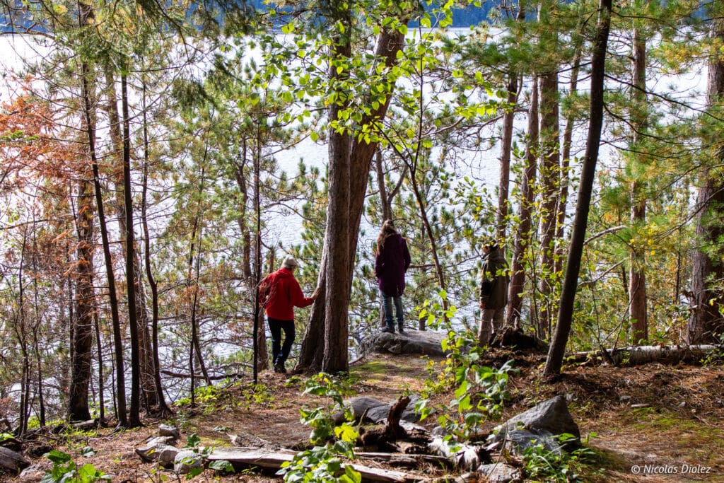 Parc national d’Opémican Abitibi Témiscamingue Québec