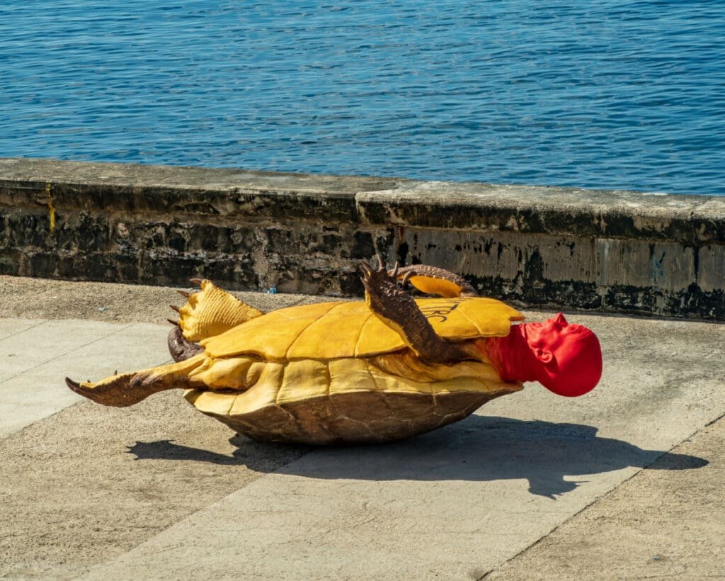 Performance artistique tortue renversée à la Biennale de La Havane.