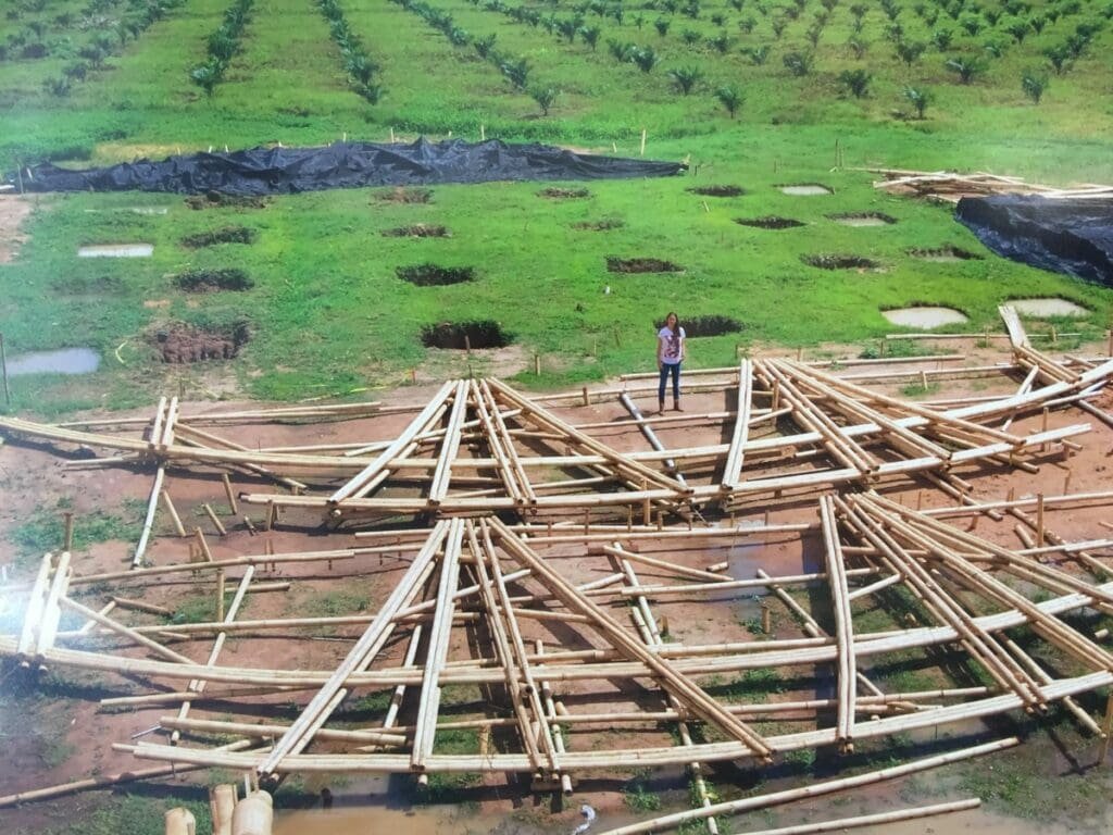 Construction en bambou à Factoria Habana, installation artistique pour la Biennale.
