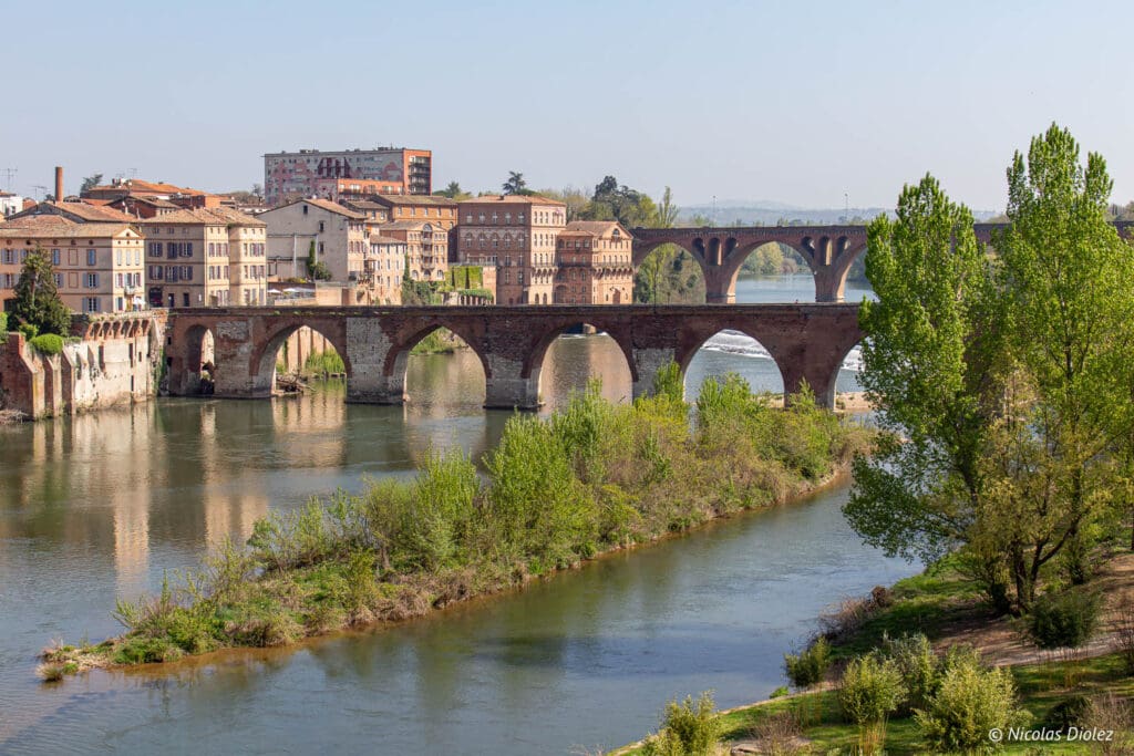 Albi - DR Nicolas Diolez 2019 Albi - DR Nicolas Diolez 2019