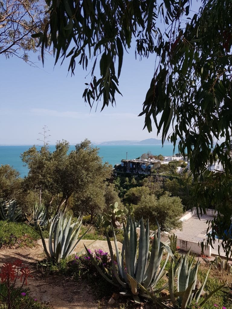 Palais Ennejma Ezzahra Sidi Bou Saïd - DR Melle Bon Plan 2019 Vue sur la mer depuis un jardin avec agaves à Sidi Bou Saïd.