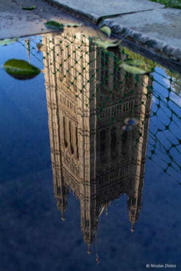 Westminster Londres reflet
