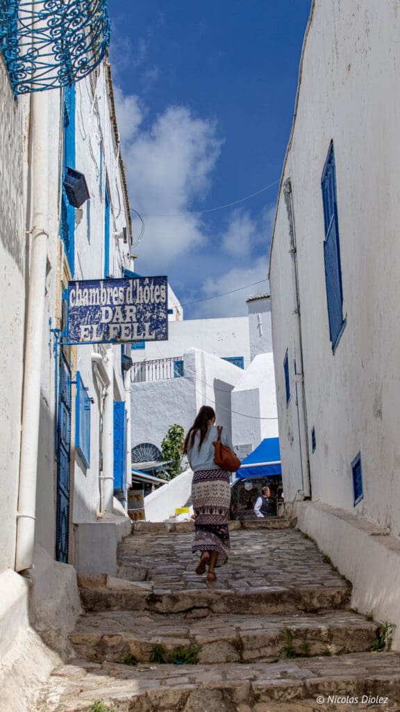 Rue pavée de Sidi Bou Saïd avec panneau "Chambres d'hôtes DAR EL FELL".