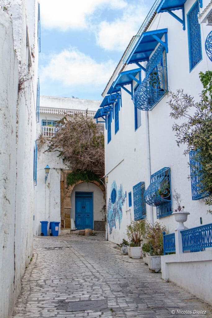 Ruelle pavée de Sidi Bou Saïd avec portes et balcons bleus typiques.