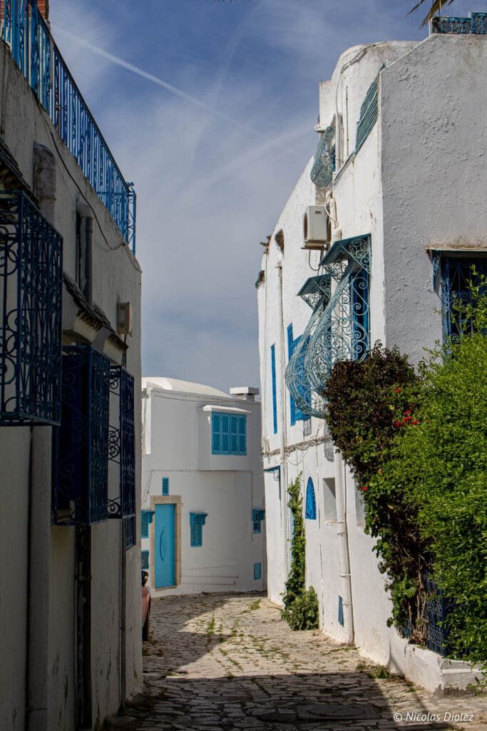 Ruelle pavée de Sidi Bou Saïd avec maisons blanches et ferronneries bleues.