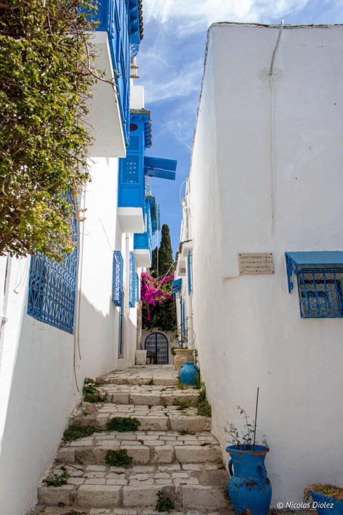Ruelle pavée de Sidi Bou Saïd avec murs blancs et balcons bleus.