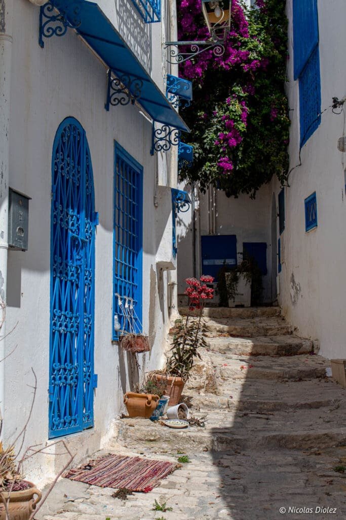 Ruelle pavée de Sidi Bou Saïd avec murs blancs et menuiseries bleues.