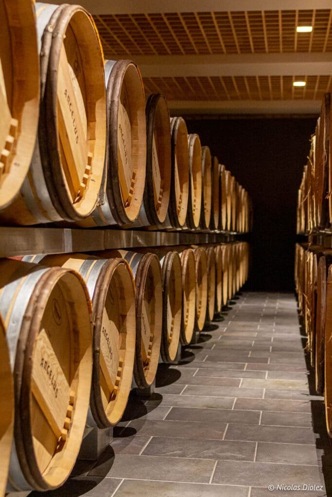 Angélus oak barrels lined up in the Saint-Émilion cellar.