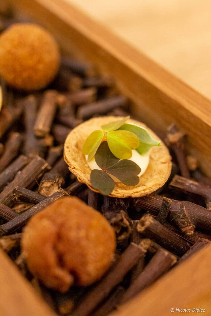 Amuse-bouche from Logis de la Cadène on sticks, credit Nicolas Diolez.