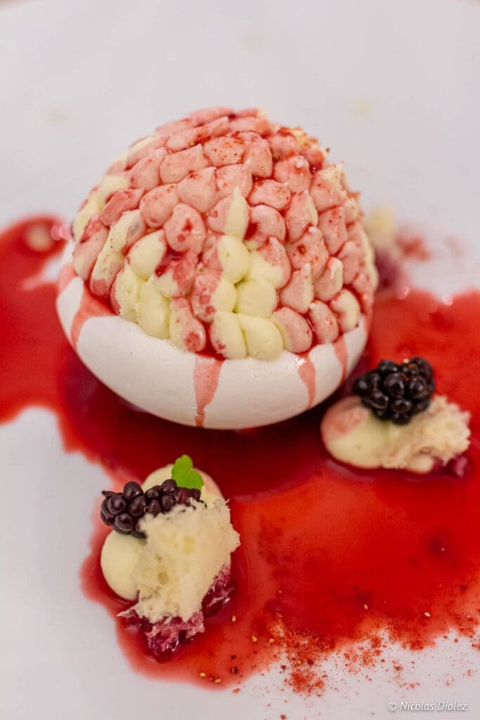 Dessert from Logis de la Cadène with blackberries and meringue. DR Nicolas Diolez 2019