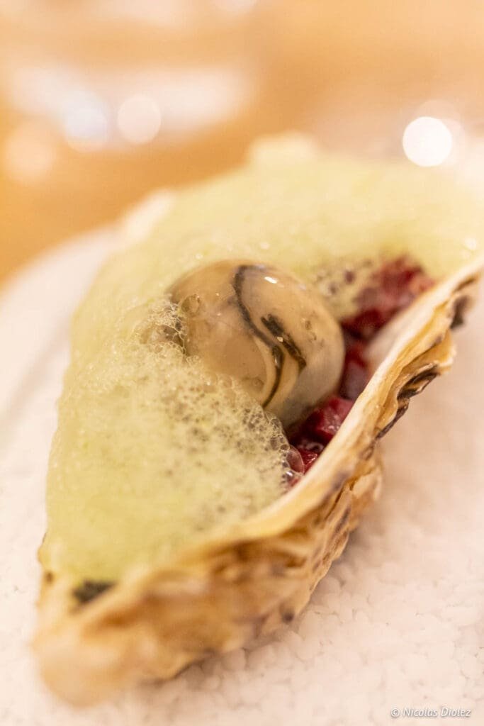 Oyster from Logis de la Cadène with emulsion and red bits on a bed of coarse salt.