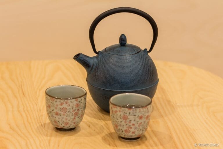 Japanse ervaringen in Parijs