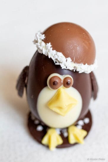 pingouin chocolat