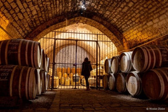 Cognac : découvrir la ville et ses eaux-de-vie