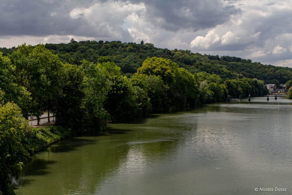 rivière la Seine et arbres